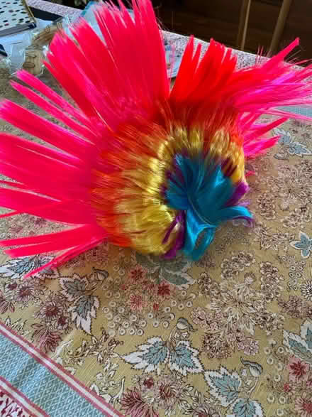Photo of free rainbow mohawk wig (West Berkeley) #1