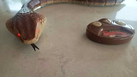 Photo of free Remote control snake toy (Baunton GL7) #1