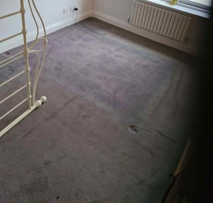 Photo of free Bedroom carpet (Great Baddow CM2) #1