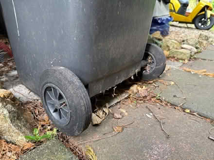 Photo of free Wheelie bin (Rathfarnham) #2