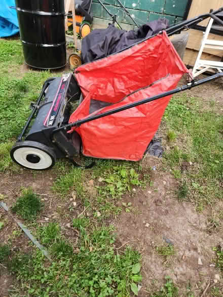 Photo of free leaf and lawn scrap sweeper (Temple Hills,MD) #4