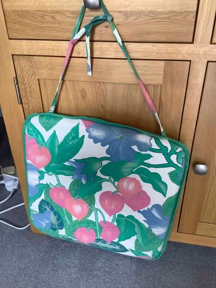 Photo of free Garden cushions (Long Hanborough OX29) #1