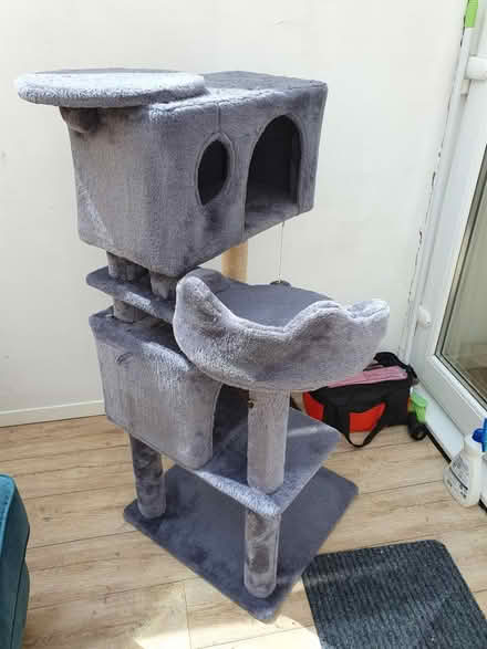 Photo of free Grey Cat tree (Faringdon Sn7) #3