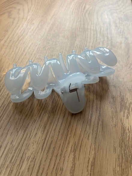 Photo of free Hair clip (TN35 Ore) #2