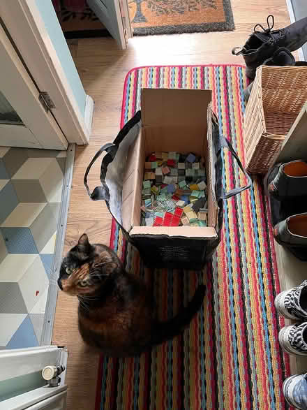 Photo of free Mosaic tiles (Ore) #2