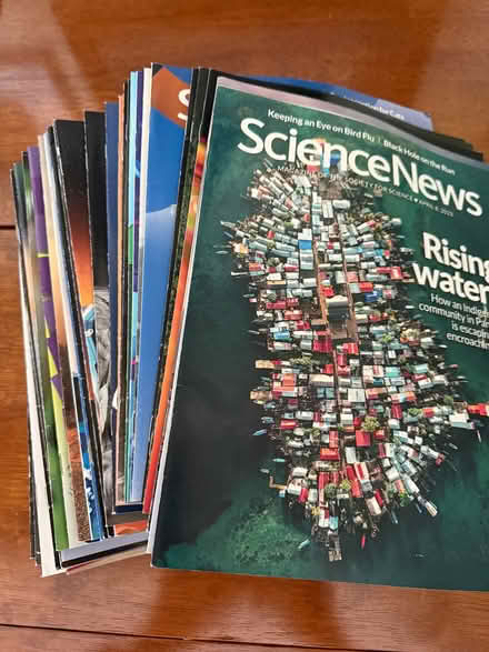 Photo of free Magazines (PH near Strandwood School) #4