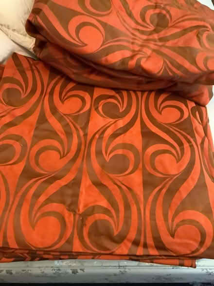 Photo of free Curtains (Nast Hyde Farm AL10) #1