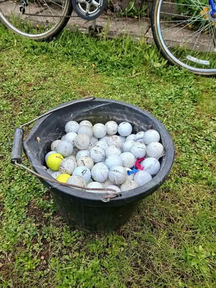 Photo of free Used golf balls (WN8) #2