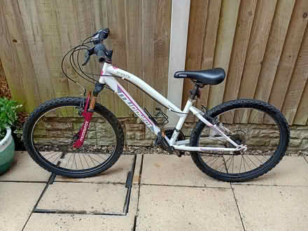 Photo of free Mountain Bike Muddyfox 24 inch (Gwernymynydd CH7) #4