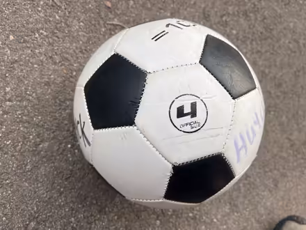 Photo of free Soccer ball (Grove Rd and Harris) #1