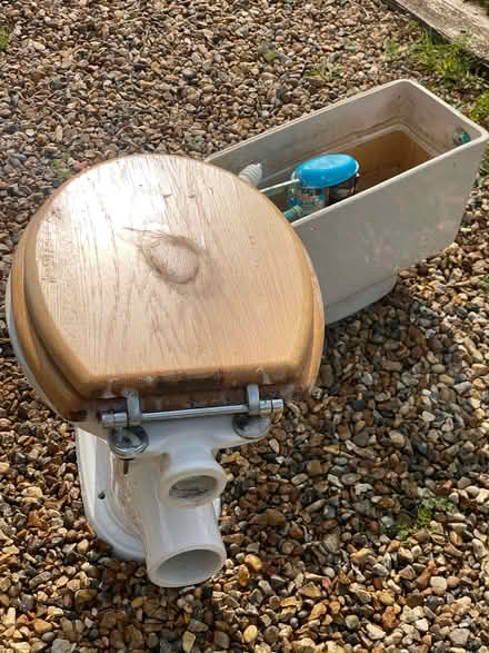 Photo of free Sanitan toilet and cistern (Gosmore SG4) #4