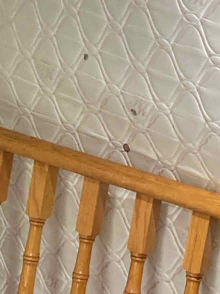 Photo of free Twin mattress (Etobicoke North) #3
