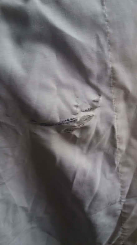 Photo of free curtains two, thick and heavy, 255cm wide, 175cm down (Crosspool S10) #2