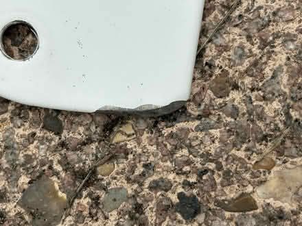 Photo of free steel grab rail (Seaford BN25) #3