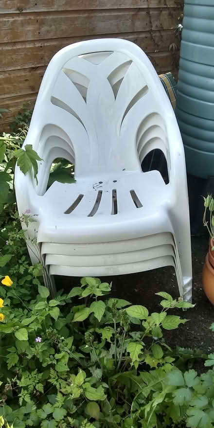 Photo of free Garden chairs x 4 (Belle Vue SY3) #1
