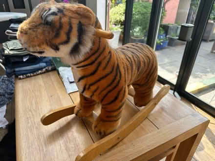 Photo of free “Rocking” Tiger (Camberley GU15) #1