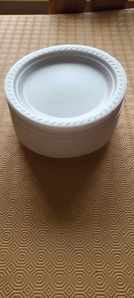 Photo of free White picnic / party / BBQ plates (TF2) #1