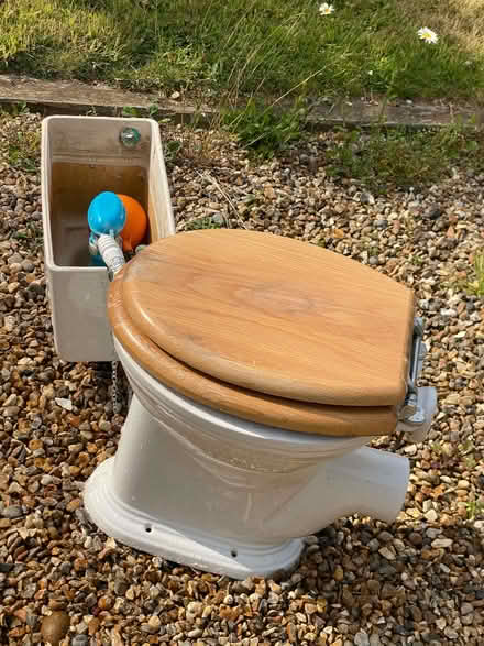 Photo of free Sanitan toilet and cistern (Gosmore SG4) #1