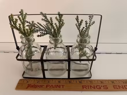 Photo of free Holder for rootings (Watertown Square) #1