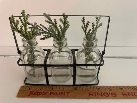 Photo of free Holder for rootings (Watertown Square) #1