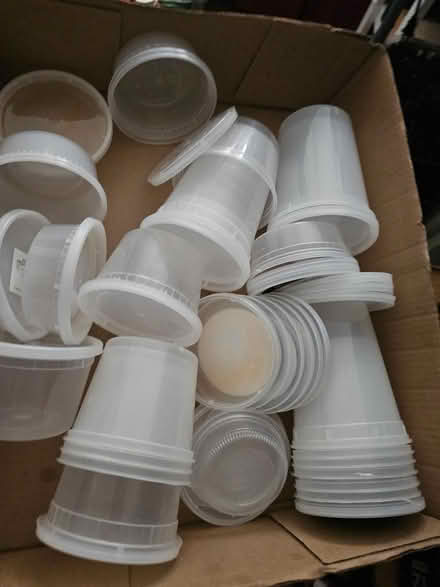 Photo of free Containers, Utensils, Egg Crates (Sunnyside 48th Street) #3