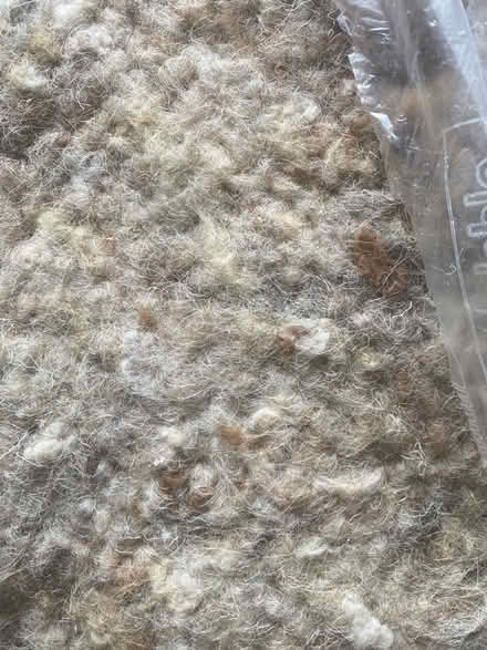 Photo of free Sheets of wool wadding (hh) (Haywards Heath RH16) #2