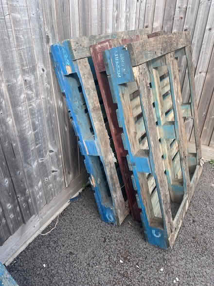 Photo of free Pallets (Aston Clinton HP22) #2