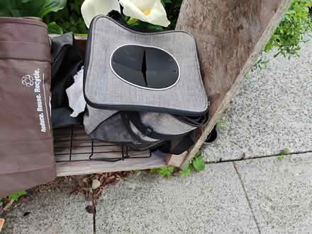 Photo of free Car trash can (Fremont/Greenwood) #1