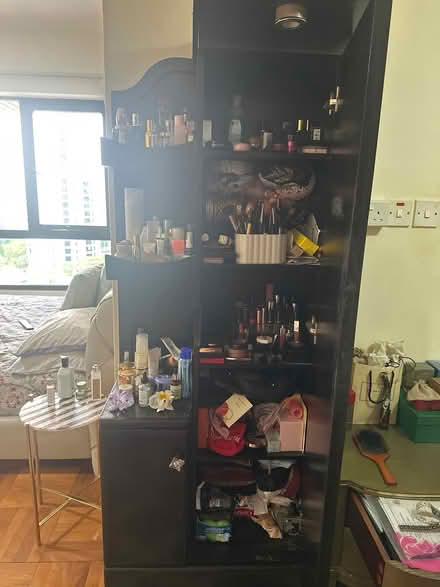 Photo of free dresser with full length mirror (Central , river valley road) #2