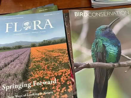 Photo of free Magazines (PH near Strandwood School) #1