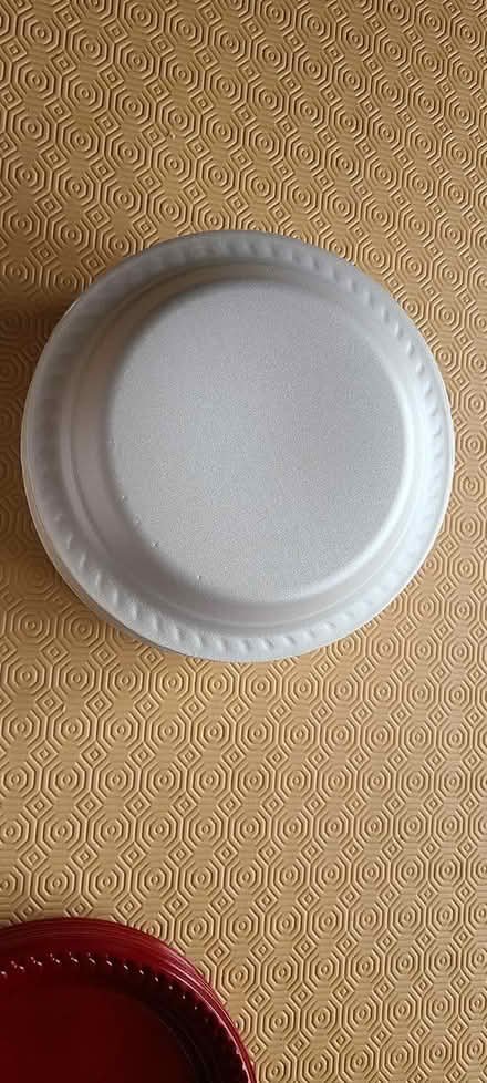 Photo of free White picnic / party / BBQ plates (TF2) #4
