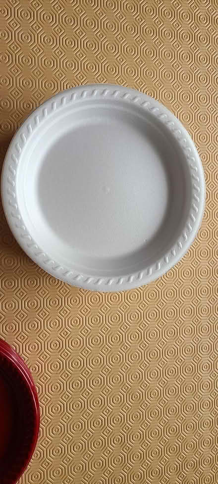 Photo of free White picnic / party / BBQ plates (TF2) #2