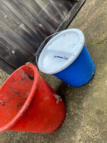Photo of free Mop bucket (Oxford-Freegle CGA OX4) #1