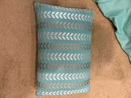 Photo of free Twin comforter w/pillow (Herndon near McNair ES) #2