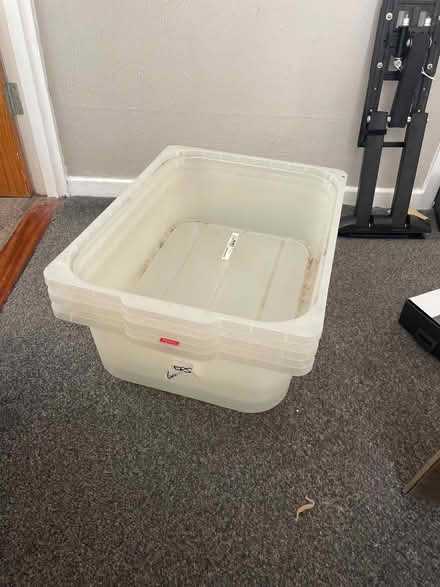 Photo of free IKEA drawer storage boxes (Teignmouth TQ14) #1