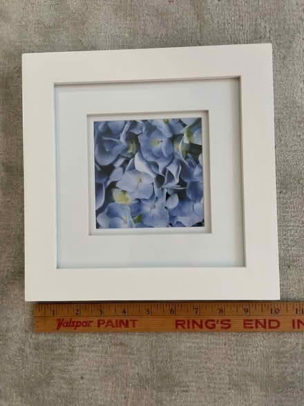 Photo of free Framed photo of flowers (Watertown Square) #1