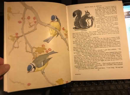 Photo of free Enid Blyton's Nature Lover's Book (Mimico) #2
