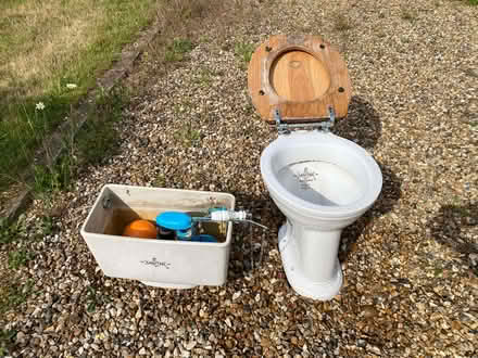Photo of free Sanitan toilet and cistern (Gosmore SG4) #2