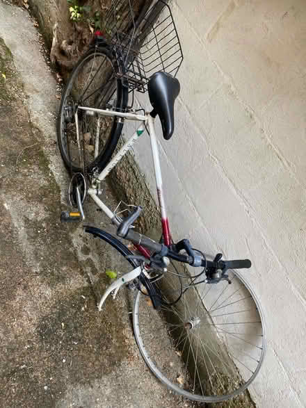 Photo of free Raleigh 501 frame bike (Oxford-Freegle CGA OX4) #1