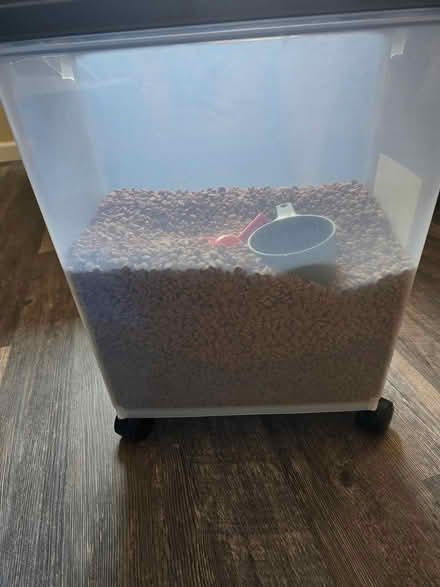 Photo of free Cat Food (Hayward) #1