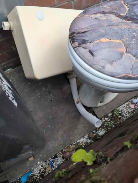 Photo of free Toilet and cistern (Farnworth BL4) #2