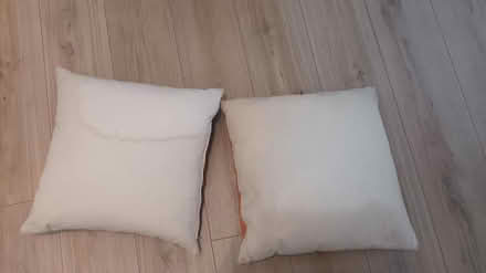 Photo of free 2 x cushions (SW11) #2