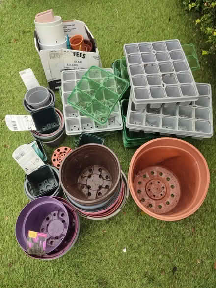 Photo of free Assorted plant pots (L25) #1