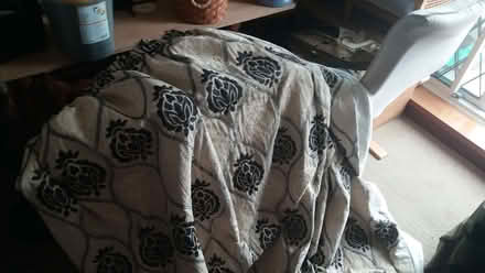 Photo of free curtains two, thick and heavy, 255cm wide, 175cm down (Crosspool S10) #1