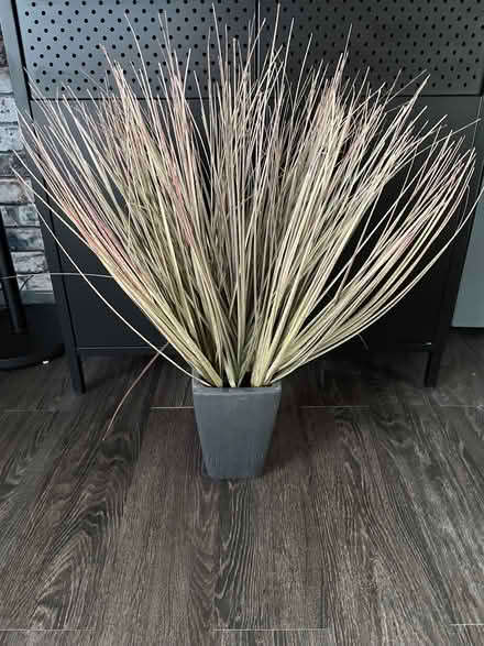 Photo of free Artificial plant (Thringstone LE67) #1