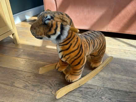 Photo of free “Rocking” Tiger (Camberley GU15) #2