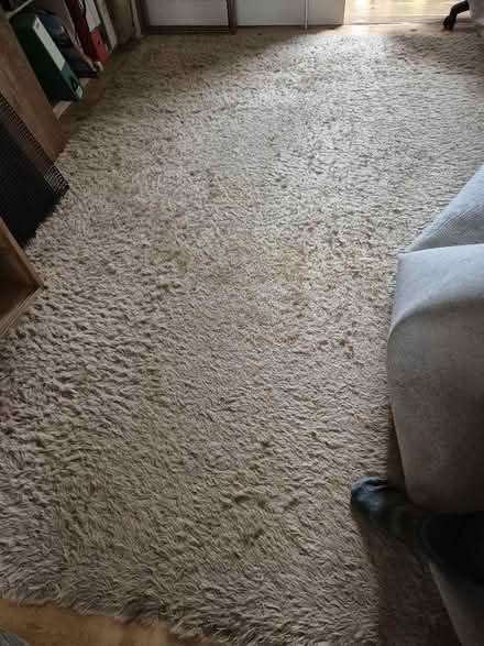 Photo of free Large rug (Iffley Road OX4) #1