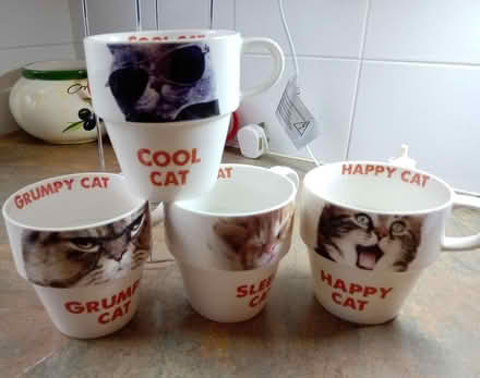 Photo of free 4 x cat mugs (Orton Goldhay) #2