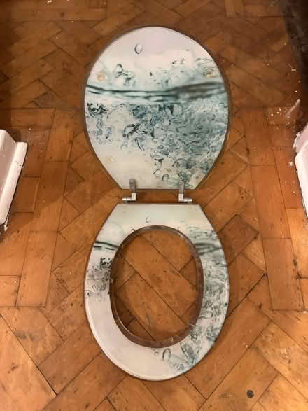 Photo of free Toilet seat (Isleworth TW7) #2