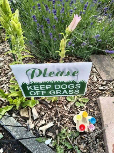Photo of free Keep Off The Grass signs (Fiveways Brighton) #1